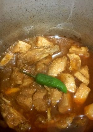 A picture of Chicken boneless gravy 🍗 🍗.