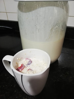 Una foto de Kumis natural con fresas y avena