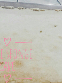 A picture of White sponge cake.