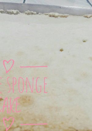 A picture of White sponge cake.