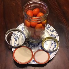 California Farm Double Lids-No Mold, Mason Jars A picture of California Farm Double Lids-No Mold, Mason Jars.