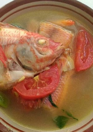 Foto resep Sop ikan nila merah