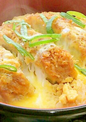 A picture of Easy Katsudon with Mentsuyu.