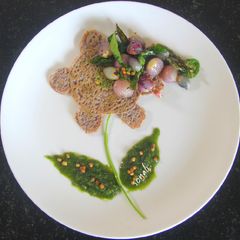 A picture of Ragi Dosa with Coriander stem chutney.