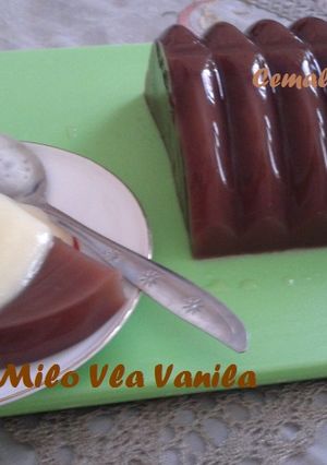 Foto resep PUDING COKLAT MILO VLA VANILA