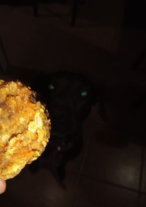 Una foto de Galletas para perros 🐾🐕🐶