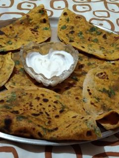 पालक पराठा (palak paratha recipe in marathi) रेसिपी चे मुख्य फोटो
