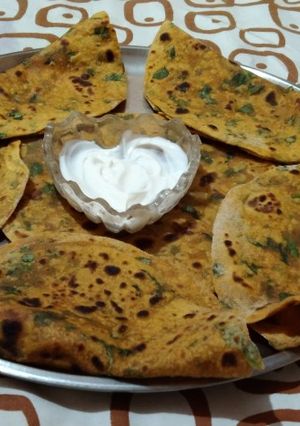 पालक पराठा (palak paratha recipe in marathi) रेसिपी चे मुख्य फोटो