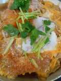 Chicken Katsu Donburi with Spring Onion