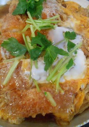 A picture of Chicken Katsu Donburi with Spring Onion.