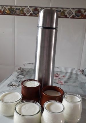 Una foto de Yogur casero hecho en un termo