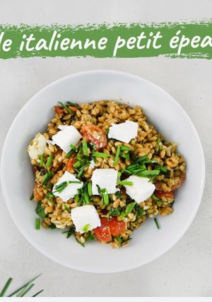 Une photo de Salade italienne de petit épeautre tomates séchées, feta, courgette et pesto