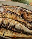 Sardinhas Assadas