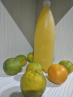 عکسی از دستور آب نارنج خانگی