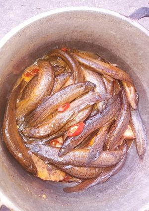 Hình của món Cá trạch kho tương.