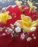 Flotantina con Gelatina de Agua Sabor Fresa a lo Carmelita