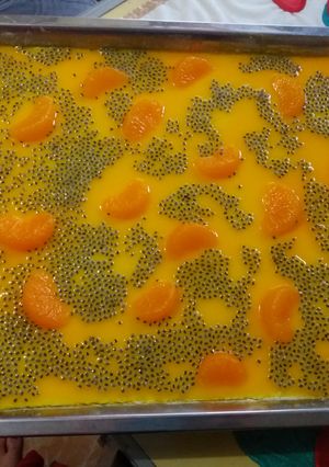 Foto resep ..puding goyang