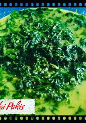 Foto resep Gulai Pakis