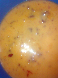 A picture of Queso.