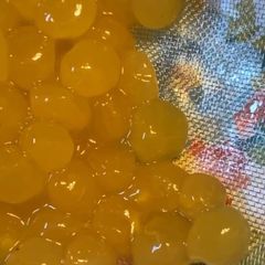 A picture of Mango Tapioca Pearls 𝓥 (𝙿𝚕𝚊𝚗𝚝 𝙱𝚊𝚜𝚎𝚍 𝙼𝚊𝚖𝚊𝚜🌿).