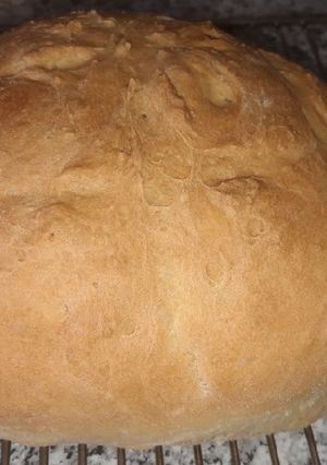 Una foto de Pan con prefermento Monsieur Cuisine Connect