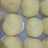 Bakpao Babi