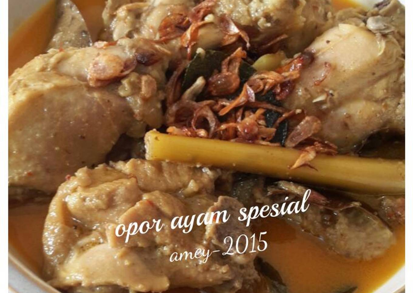 Opor ayam spesial