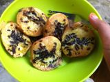 Kue cubit
