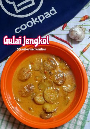 Foto resep Gulai Jengkol