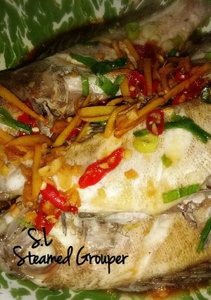 Foto resep Tim Ikan Kerapu (Basic Steamed Grouper)