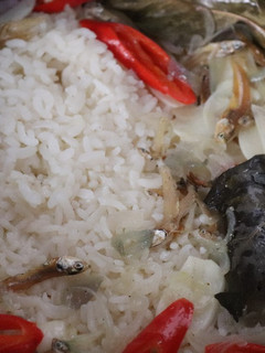 Foto resep Nasi liwet (Rice cooker)