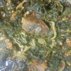 Bitter leave soup A picture of Bitter leave soup.