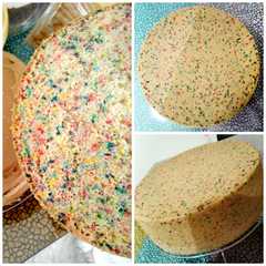 A picture of Bizcochuelo multicolor.