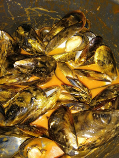 Una foto de Mejillones con salsa de tomate