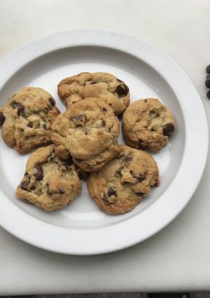 A picture of The Chocolate Chip Cookie.