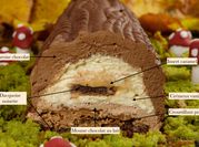 Une photo de chocolat praliné noisettes