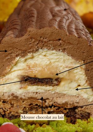 Une photo de Bûche de Noël