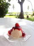 Panna Cotta y culis de frutilla