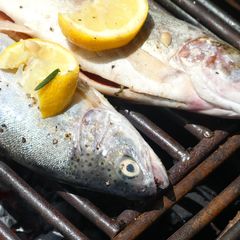 A picture of Grilled garlic butter and lemon fresh lake trout!.