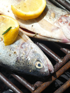 A picture of Grilled garlic butter and lemon fresh lake trout!.