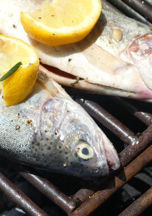 A picture of Grilled garlic butter and lemon fresh lake trout!.