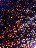 Mermelada de moras