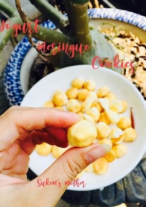 Hình của món Yogust meringue cookies(Sữa chua khô).