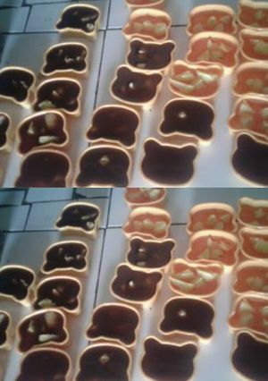 Foto resep Puding Cokelat Mix Nanas Endesss