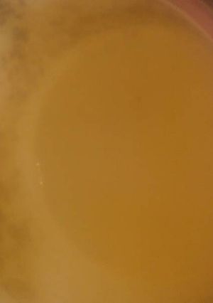 A picture of Purity t.