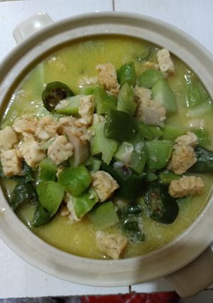 Foto resep Sayur Lodeh Labu Siam