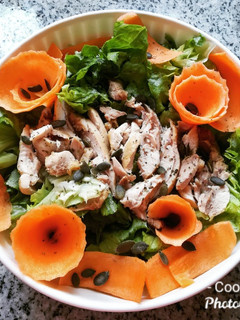 A picture of Insalata di pollo.