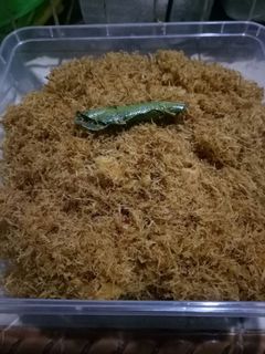Foto resep Serundeng Kelapa