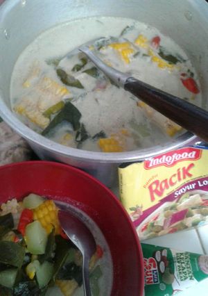 Foto resep Sayur lodeh (no ulek no ribet) tapi enakkk