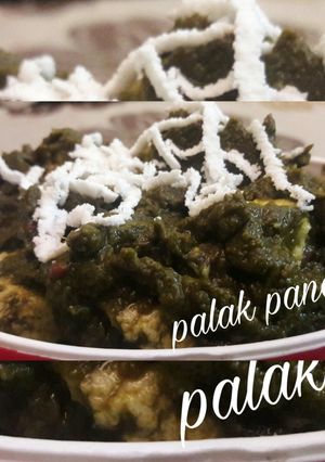 पालक पनीर (Palak Paneer recipe in hindi) रेसिपी मुख्य फोटो